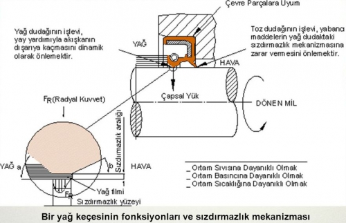 Döner Mil Keçeleri